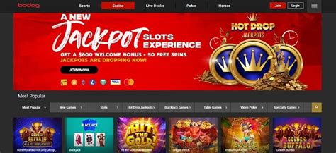 online casinos in newfoundland and labrador - online casino newfoundland